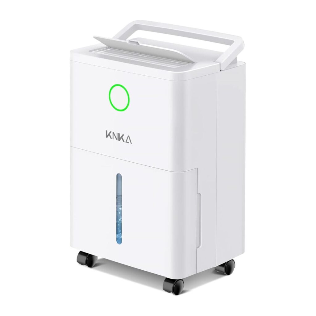 10L Dehumidifier