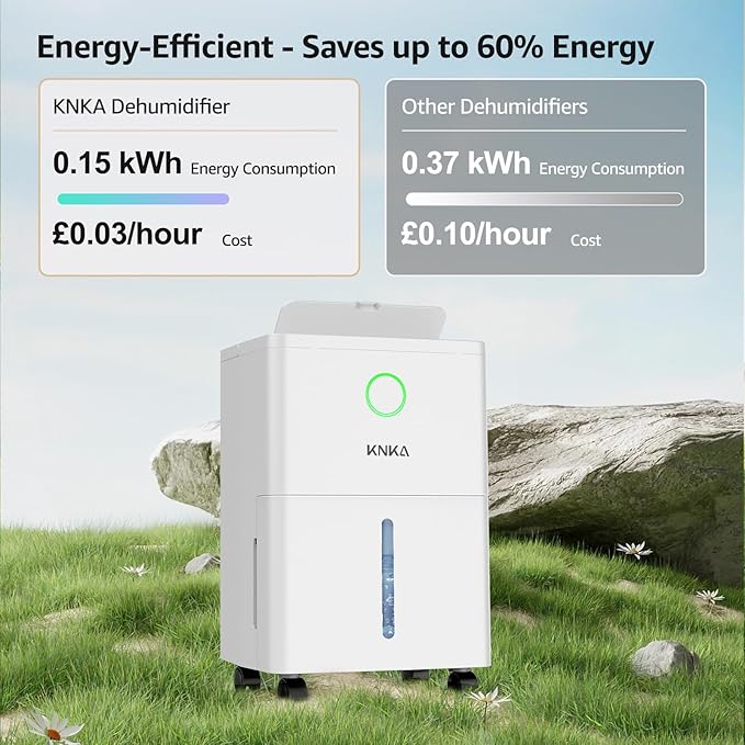 10L Dehumidifier cost view